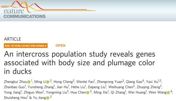 王中王493333WWW马头诗,科学解答解释落实_me59.87.19