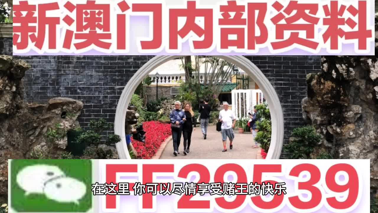 2025年澳门天天开好彩,深度解答解释落实