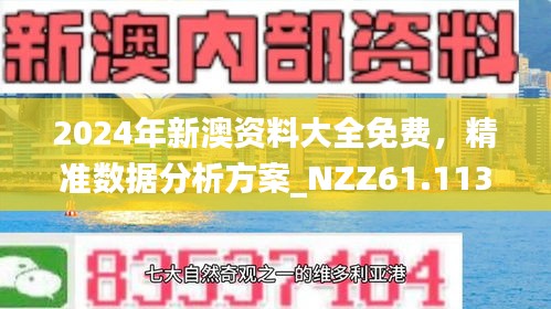 新澳2024-2025年精准正版资料全面释义与落实详解