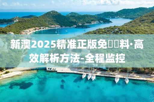 新澳2025精准正版免費資料全面解析与备考策略