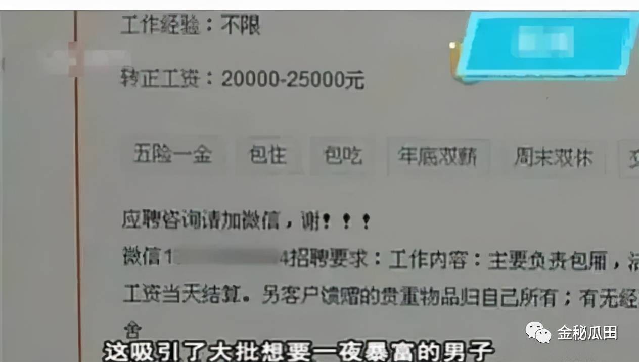 管家婆一码一肖100中奖,揭秘管家婆一码一肖