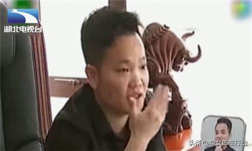 今晚四不像一肖图今晚四不像吧,构建解答解释落实